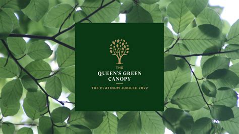 The Queens Green Canopy Tree Chipping Norton Town Council