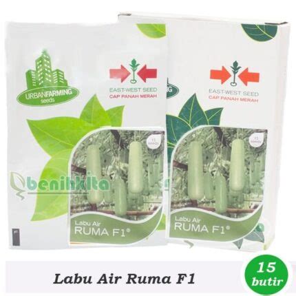 Jual Benih Bibit Labu Air Ruma F Cap Panah Merah Benihkita