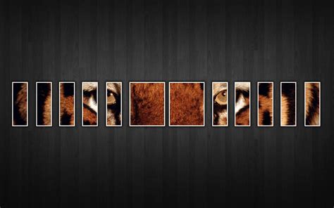 Best Cover Photo Download Woodslima