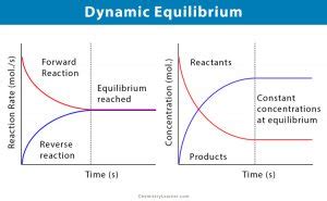 Dynamic Equilibrium: Definition and Examples