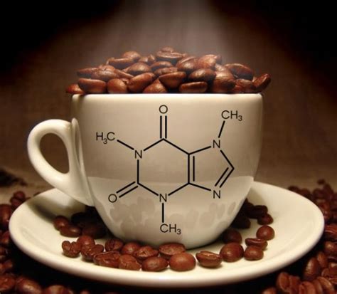 Unlocking Coffee's Chemical Composition: Part 2