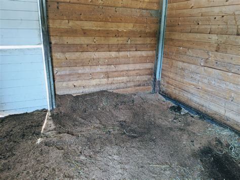 How To Clean Your Horses Stall Perfectly In 8 Easy Steps The Flaxen