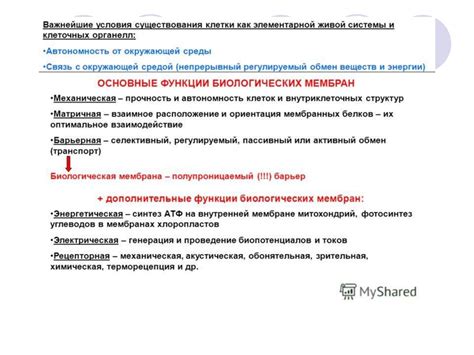 Физиология. Лекция 1 - презентация онлайн