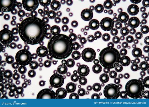 Air Bubbles In An Surfactant Fluid Under A Microscope Royalty-Free ...