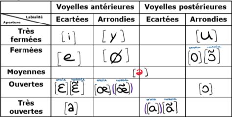 Phon Tique Cours Phon Tique Et Physiologique Articulatoire Voyelles