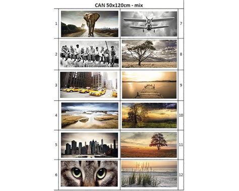 5012 koupit v HORNBACHu