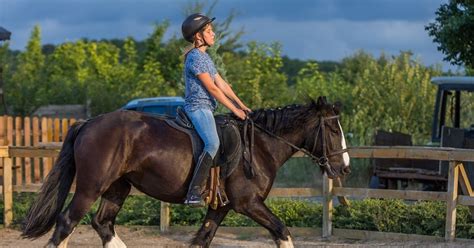 Curso Para Aprender A Montar A Caballo