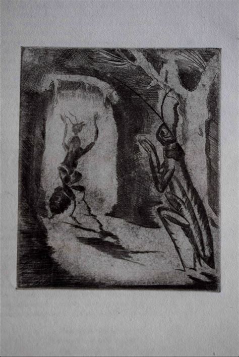 Jeanne Bieruma Oosting Ets De Mier En De Krekel Sold View The