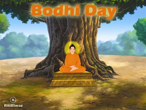 Bodhi Day Photos Bidget Anastassia