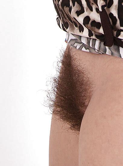 Behaarte Muschis Hairy Pussy Hairy Pussy Porn Pic