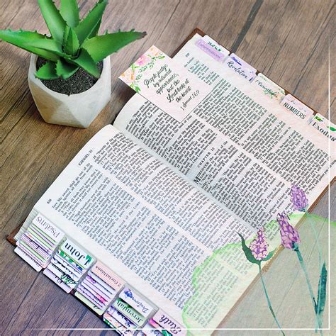 Snapklik.com : Bible Tabs For Women - Bible Tabs For Bible Chapters