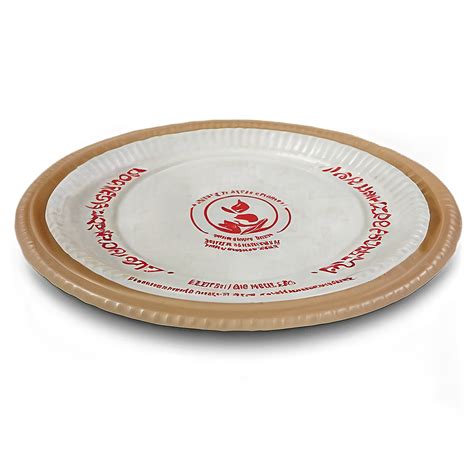 Download Biodegradable Paper Plate Png 88