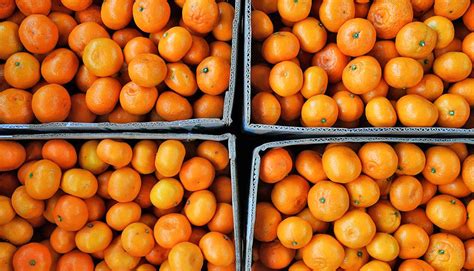 Купить мандарины Харабали 🍊 - сладкие, сушеные, абхазия, мини ...