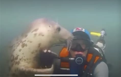 wehugworld    hug universe hub   world