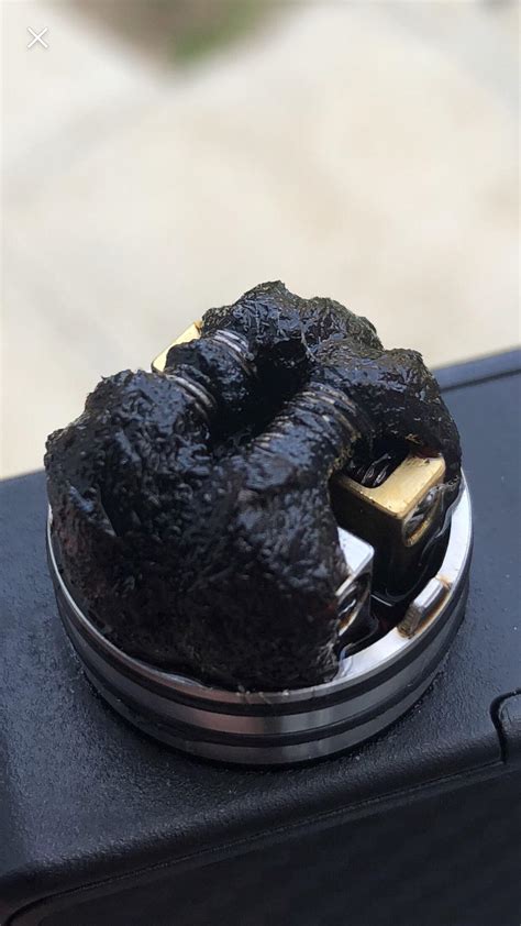 After Two Days Of Horny Pomberry Juice R CoilGore