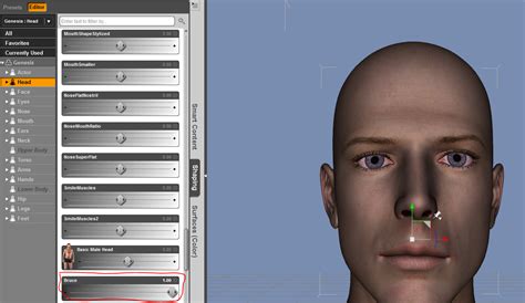 DanBurden's Interactive Blog: FaceGen Character Creation Tutorial