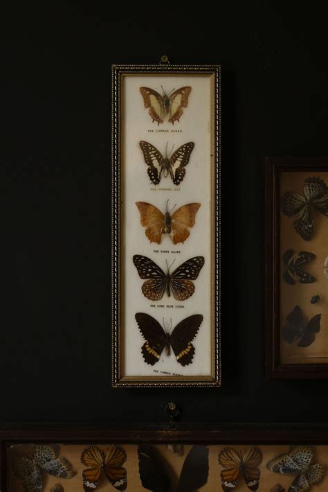 Occult, Esoteric & Mystical Home Decor | Old Town Magick, Edinburgh