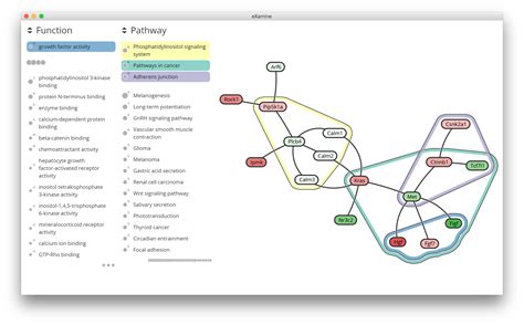 Cytoscape App Store - eXamine