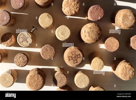 Cork Bottle Bungs Staying On White Wood Background Stock Photo Alamy