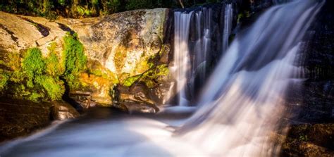 Discover Thomson's Falls | Thomson's Falls Guide