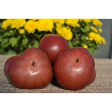 Купить семена томата Гном Лакомство Изабель (Dwarf Dainty Isabel ...