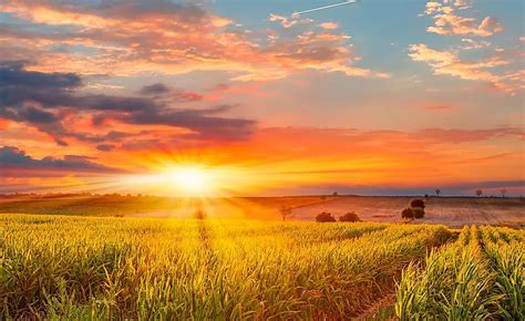 Georgia's Humid And Mild Climate Effects Which Major Industry