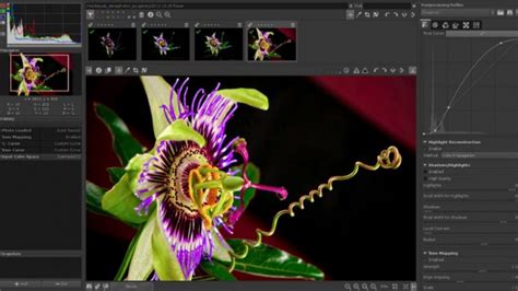 Шесть бесплатных альтернатив для Adobe Creative Cloud Сей Хай