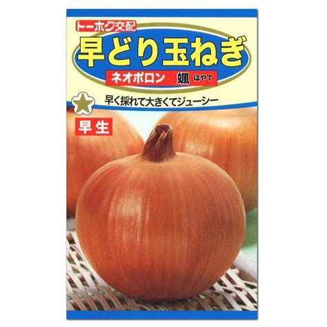 トーホク 早どり玉ねぎ ネオポロン 颯 はやて 早生種 種 玉葱 たまねぎ オニオン タネ 種子 家庭菜園 メール便対応 通販 Line