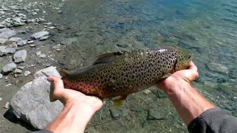 Pesca Ad Alta Quota Il Mostro Del Lago Youtube
