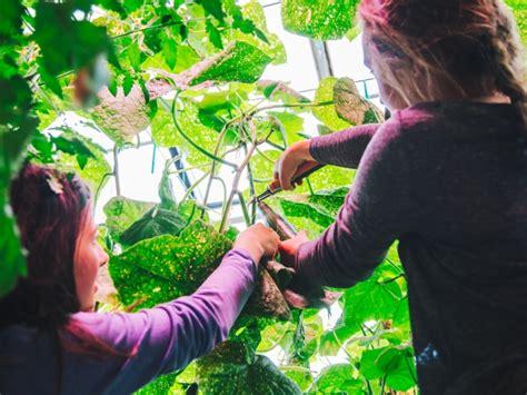 Charlottetown Rural High School - Garden Program - Canada's Smartest ...