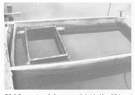 Figure From Sex Reversal Of Tilapia In Earthen Ponds Semantic Scholar