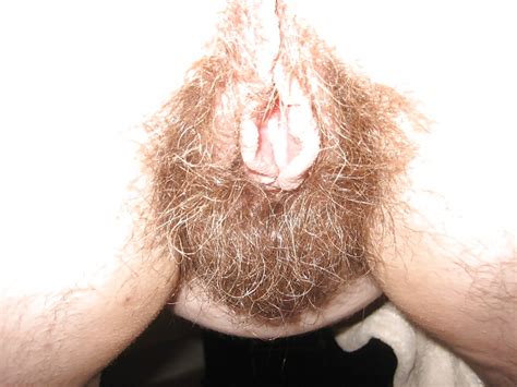 Hairy Wife Ass Porn Pictures XXX Photos Sex Images 1529707 PICTOA