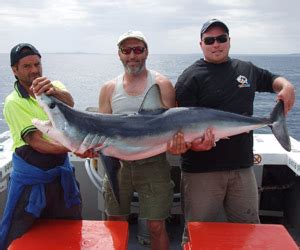 Shark SHARKMEN FISHING CHARTERS