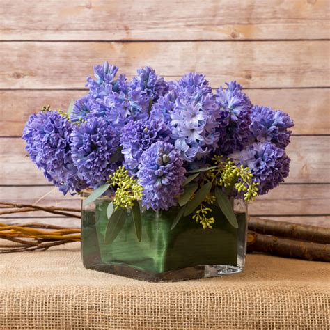 RESPLENDENT HYACINTH ARRANGEMENT in New York, NY | Flowers by Philip