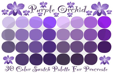 Color Palette Procreate Purple Orchid Grafica Di Supanan Pikul