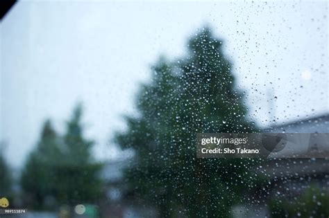 Wet High-Res Stock Photo - Getty Images