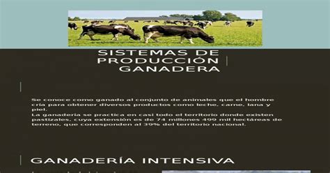 Sistemas De Producci N Ganadera Pdf Document