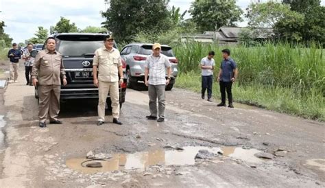 Presiden Jokowi Akan Tinjau Jalan Rusak Viral Di Rumbia