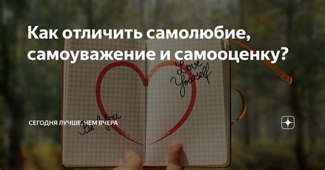 Как отличить самолюбие, самоуважение и самооценку? | Сегодня лучше, чем ...
