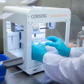 3D Bioprinting Technology For Future Drug Discovery And Toxicology Research