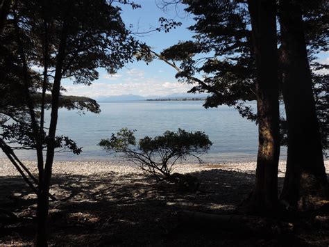 Images Gratuites plage paysage côte arbre eau la nature forêt