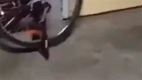 Tang Felake Mast Jor Jor Se Chora Bhabhi Ko Free Porn E Xhamster