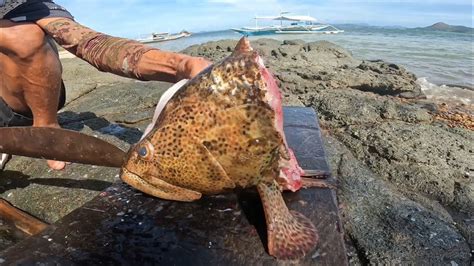 Pinakamahal Na Sinampalukan At Inihaw Loba Or Marble Grouper Youtube