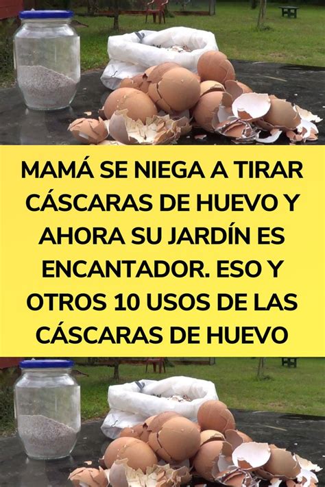 MAMÁ SE NIEGA A TIRAR CÁSCARAS DE HUEVO Y AHORA SU JARDÍN ES ENCANTADOR