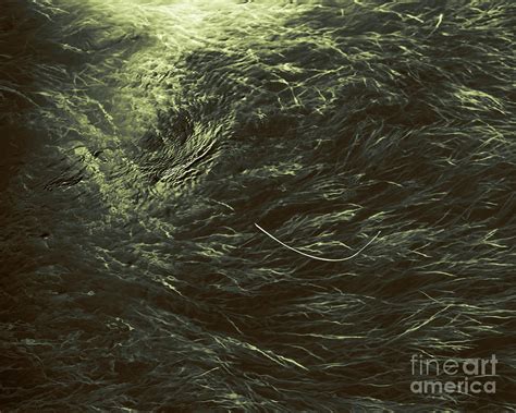 257 Rainbow Springs Photograph By Patrick Lynch Fine Art America