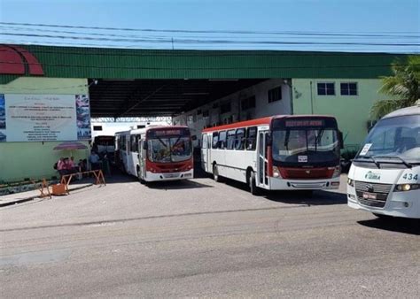 Empresas de ônibus recebem currículos para vagas de cobrador e ...