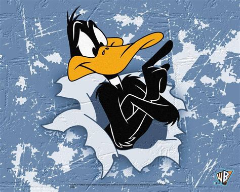 [100+] Daffy Duck Wallpapers | Wallpapers.com