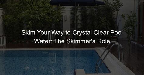 Skim Your Way To Crystal Clear Pool Water The Skimmer S Role Day In