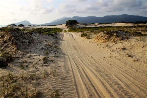 Dunas Em Ilha Comprida - Dunas do Juruvaúva - Ilha Comprida - Onde Visitar em Ilha Comprida - SP