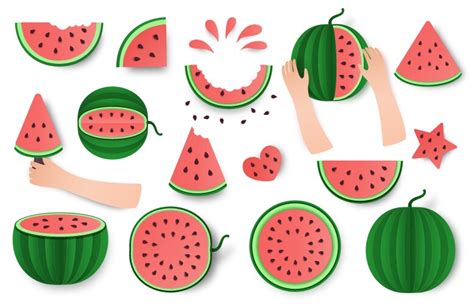 Isometric Whole And Half Watermelon Isolated On A Vector Image